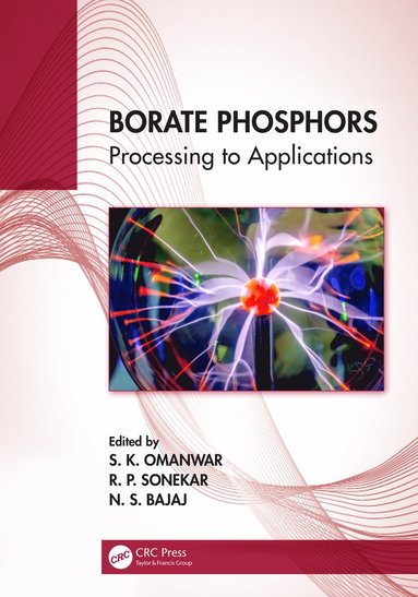 bokomslag Borate Phosphors