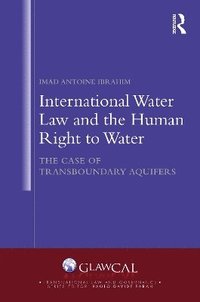 bokomslag International Water Law and the Human Right to Water