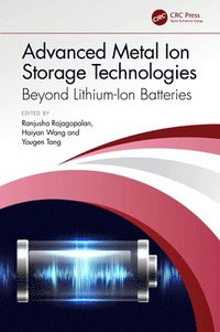bokomslag Advanced Metal Ion Storage Technologies