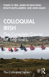 bokomslag Colloquial Irish