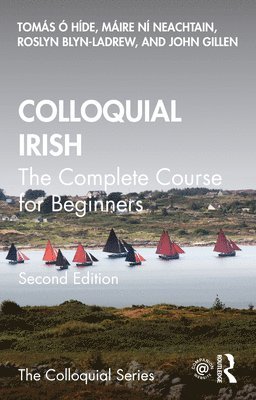 bokomslag Colloquial Irish