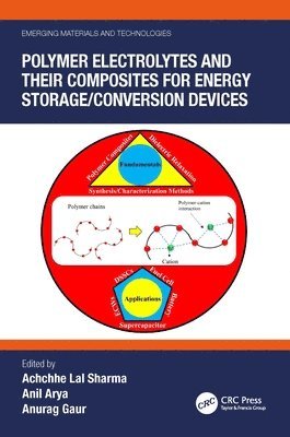 Polymer Electrolytes and their Composites for Energy Storage/Conversion Devices 1