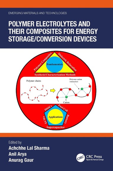 bokomslag Polymer Electrolytes and their Composites for Energy Storage/Conversion Devices