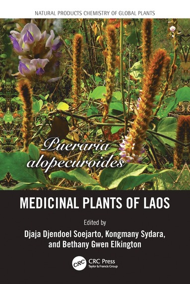 bokomslag Medicinal Plants of Laos