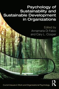 bokomslag Psychology of Sustainability and Sustainable Development in Organizations