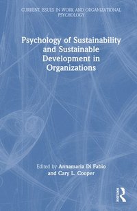 bokomslag Psychology of Sustainability and Sustainable Development in Organizations