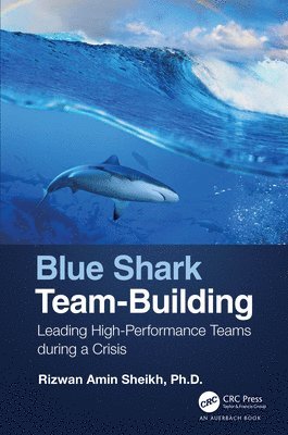 Blue Shark Team-Building 1