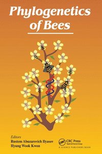 bokomslag Phylogenetics of Bees