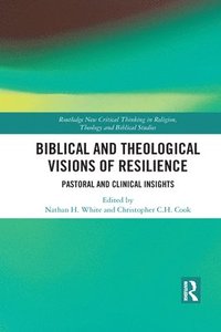 bokomslag Biblical and Theological Visions of Resilience