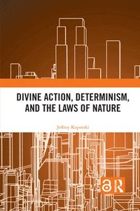 bokomslag Divine Action, Determinism, and the Laws of Nature