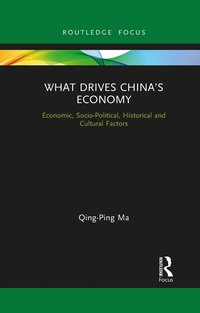 bokomslag What Drives China's Economy