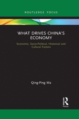 bokomslag What Drives Chinas Economy