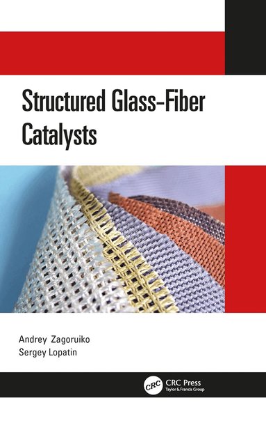 Andrey Zagoruiko, Sergey Lopatin - Structured Glass-Fiber Catalysts, Häftad