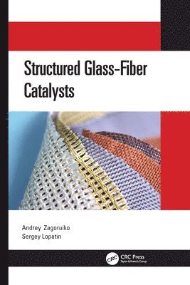 Andrey Zagoruiko, Sergey Lopatin - Structured Glass-Fiber Catalysts, Häftad