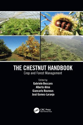 bokomslag The Chestnut Handbook