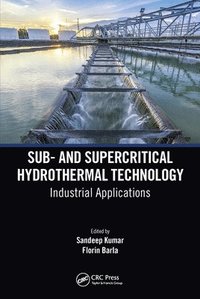 bokomslag Sub- and Supercritical Hydrothermal Technology