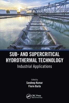 bokomslag Sub- and Supercritical Hydrothermal Technology