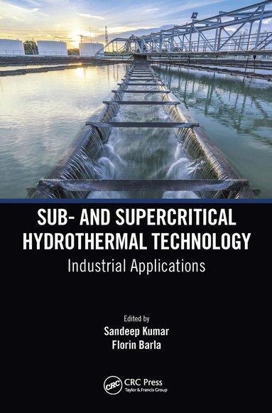 bokomslag Sub- and Supercritical Hydrothermal Technology