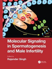 bokomslag Molecular Signaling in Spermatogenesis and Male Infertility