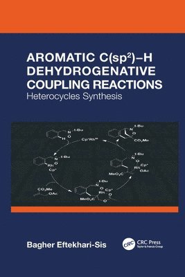 bokomslag Aromatic C(sp2)H Dehydrogenative Coupling Reactions