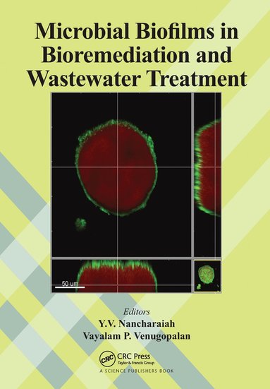 bokomslag Microbial Biofilms in Bioremediation and Wastewater Treatment