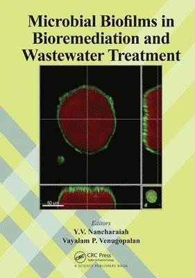 Microbial Biofilms in Bioremediation and Wastewater Treatment 1