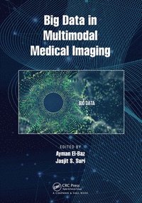 bokomslag Big Data in Multimodal Medical Imaging