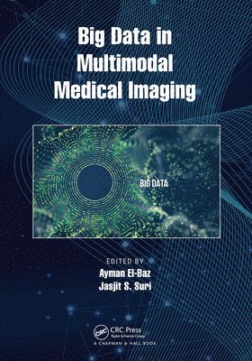 Big Data in Multimodal Medical Imaging 1