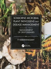 bokomslag Soilborne Microbial Plant Pathogens and Disease Management, Volume Two
