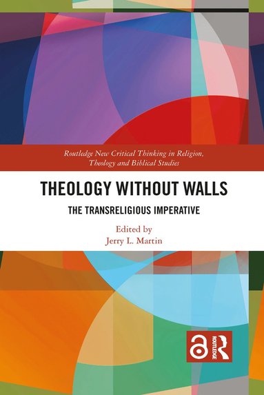 bokomslag Theology Without Walls