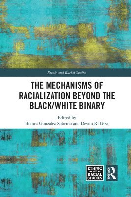 bokomslag The Mechanisms of Racialization Beyond the Black/White Binary