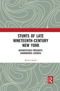 bokomslag Stunts of Late Nineteenth-Century New York