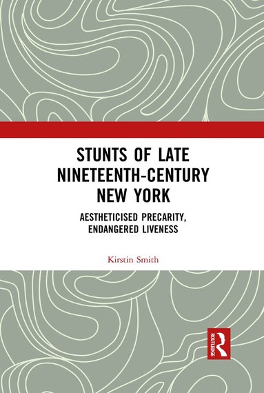 bokomslag Stunts of Late Nineteenth-Century New York