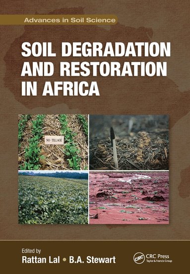 Rattan Lal, B. A. Stewart - Soil Degradation and Restoration in Africa, Häftad