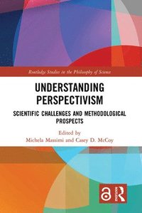 bokomslag Understanding Perspectivism