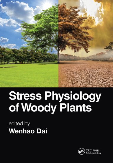 bokomslag Stress Physiology of Woody Plants