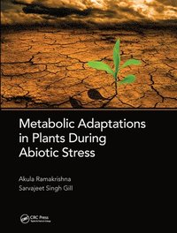 bokomslag Metabolic Adaptations in Plants During Abiotic Stress