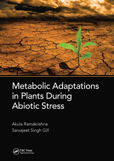 bokomslag Metabolic Adaptations in Plants During Abiotic Stress