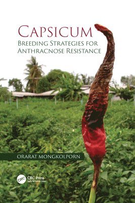 Orarat Mongkolporn, Thailand) Mongkolporn, Orarat (Kasetsart University - Capsicum, Häftad