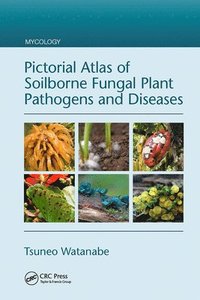 bokomslag Pictorial Atlas of Soilborne Fungal Plant Pathogens and Diseases