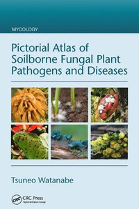 bokomslag Pictorial Atlas of Soilborne Fungal Plant Pathogens and Diseases