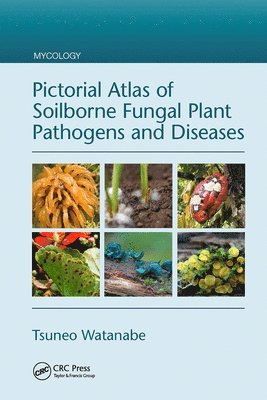 Tsuneo Watanabe - Pictorial Atlas of Soilborne Fungal Plant Pathogens and Diseases, Häftad