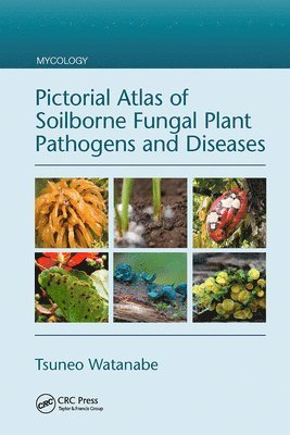 Pictorial Atlas of Soilborne Fungal Plant Pathogens and Diseases 1