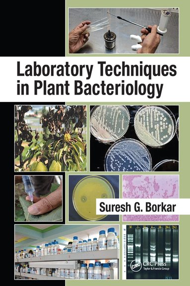 Suresh G. Borkar - Laboratory Techniques in Plant Bacteriology, Häftad