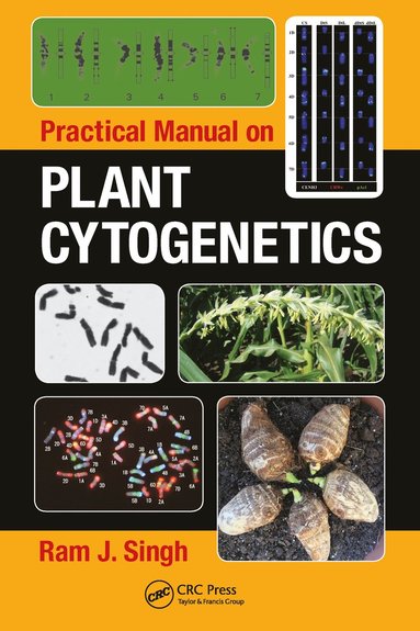 bokomslag Practical Manual on Plant Cytogenetics