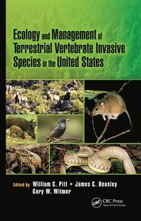 bokomslag Ecology and Management of Terrestrial Vertebrate Invasive Species in the United States