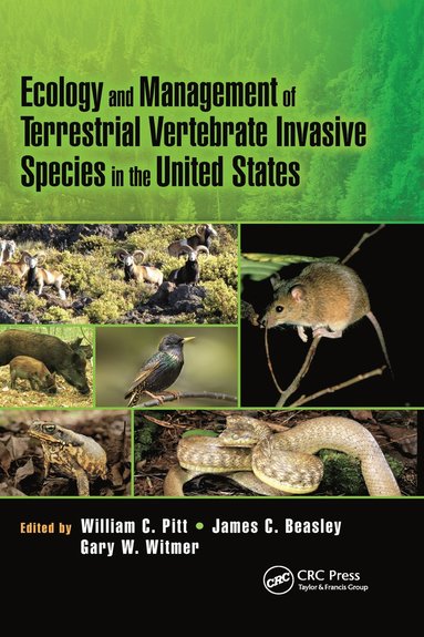 bokomslag Ecology and Management of Terrestrial Vertebrate Invasive Species in the United States