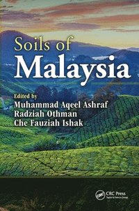 bokomslag Soils of Malaysia