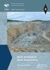 bokomslag Back Analysis in Rock Engineering
