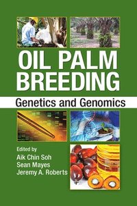 bokomslag Oil Palm Breeding